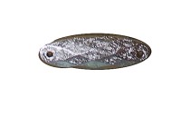 STONE SEWING SILVER OVAL